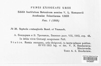 Septoria crataegicola image